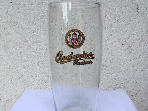 budvar 029